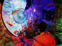 -沈阳海洋探索中心