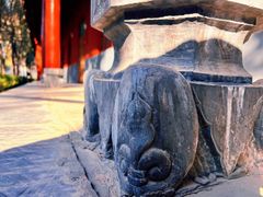 -洛阳白马寺