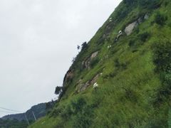 -关山草原
