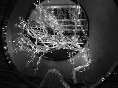 -红辣椒·川菜·火锅(张杨路店)