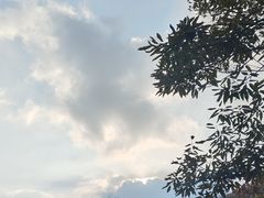-皇藏峪国家森林公园