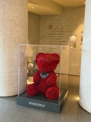 -VELEE·SPA高定疗愈会所