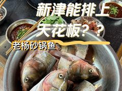 -老杨砂锅鱼庄