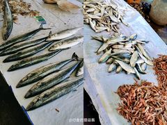 -登州市场(登州路店)