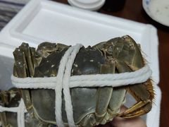 -黄记大闸蟹专卖店·活蟹·醉蟹