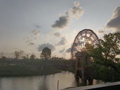 -王借岗森林公园
