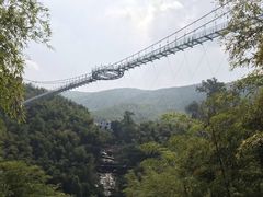 -山沟沟景区