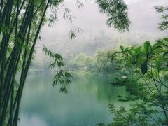 -峨眉山风景名胜区