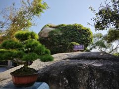 -湄洲岛