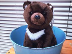 -济州岛泰迪熊博物馆