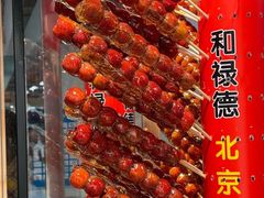 -和禄德冰糖葫芦