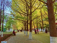 -辽东学院(南校区)