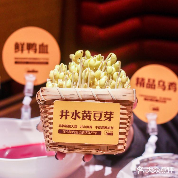 🌶️川渝高端火锅巴奴!!🥘爱吃毛肚必打卡!