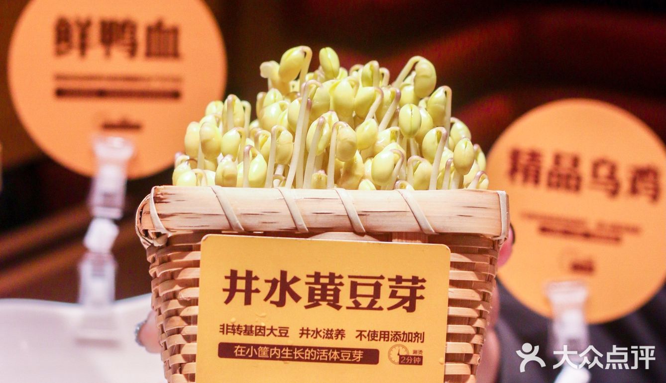 🌶️川渝高端火锅巴奴！！🥘爱吃毛肚必打卡！