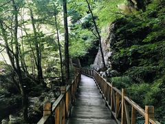 -青峰峡国家森林公园