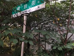 -杨婆婆烤肉(文昌阁店)