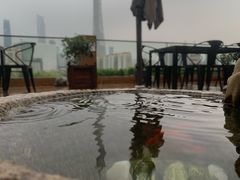 -小茶闲舍·观景商务茶馆(广州塔店)