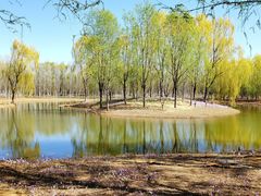 -东郊湿地公园