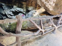 -梭布垭石林景区