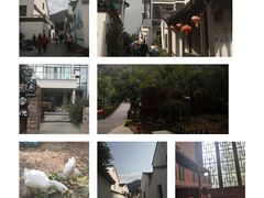 -树山生态村