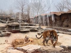 -北京野生动物园