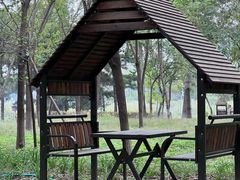 -大兴滨河森林公园