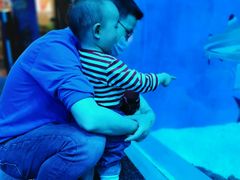 -成都浩海立方海洋公园