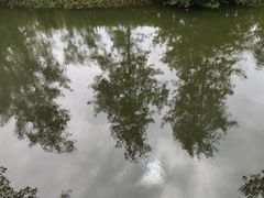 -合肥滨湖国家森林公园