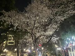 -上海东湖宾馆