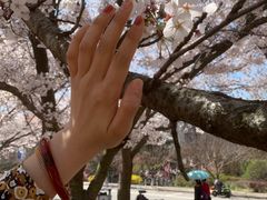 -中国海洋大学（崂山校区）-图书馆