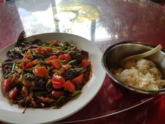 -生态苑农庄(十里画廊遇龙河店)