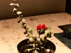 -T館·花园艺术餐厅