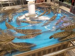 -永辉超市(泰州万达广场店)