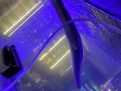 -东味北道熟成·炭火烤肉(九龙店)