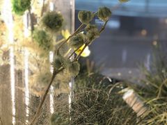 -皇城恒隆广场