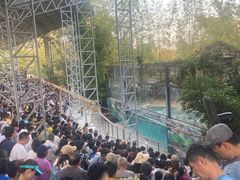 -清迈夜间动物园