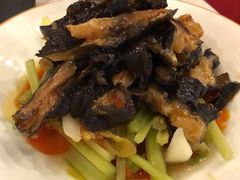-滇越乘象云南餐厅(豆各庄店)