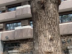 -岳阳道小学(大理道校区)