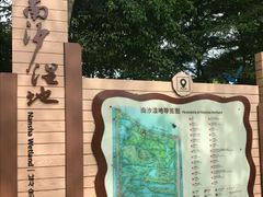 -大湾区中央湿地公园
