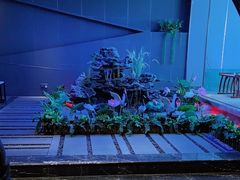 -陆琴脚艺·足浴·SPA(夫子庙店)