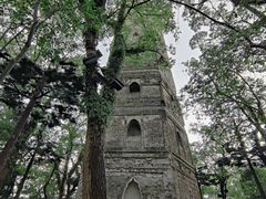 -江心屿景区
