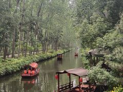 -合肥滨湖国家森林公园