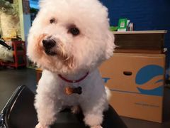 -九龙餐厅(大沽路店)