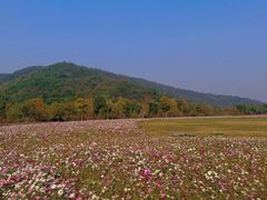 -杭州灵山景区