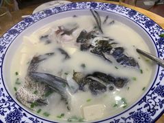 -全乐鱼馆·淳牌有机鱼直营店