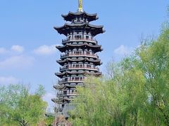 -洋湖国家湿地公园