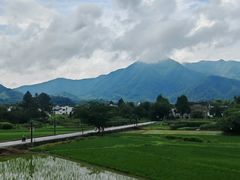 -黄牛肉馆·皖南土菜
