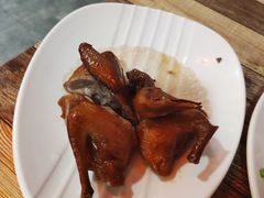 -东鸽皇(奥园·中环广场店)