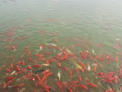 -燕郊植物园