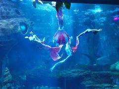 -多彩贵州城极地海洋世界